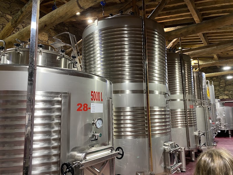 Bodega Finca Míllara photo 4