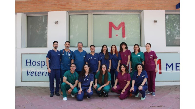 Medivet Hospital Veterinario 24 horas La Flota