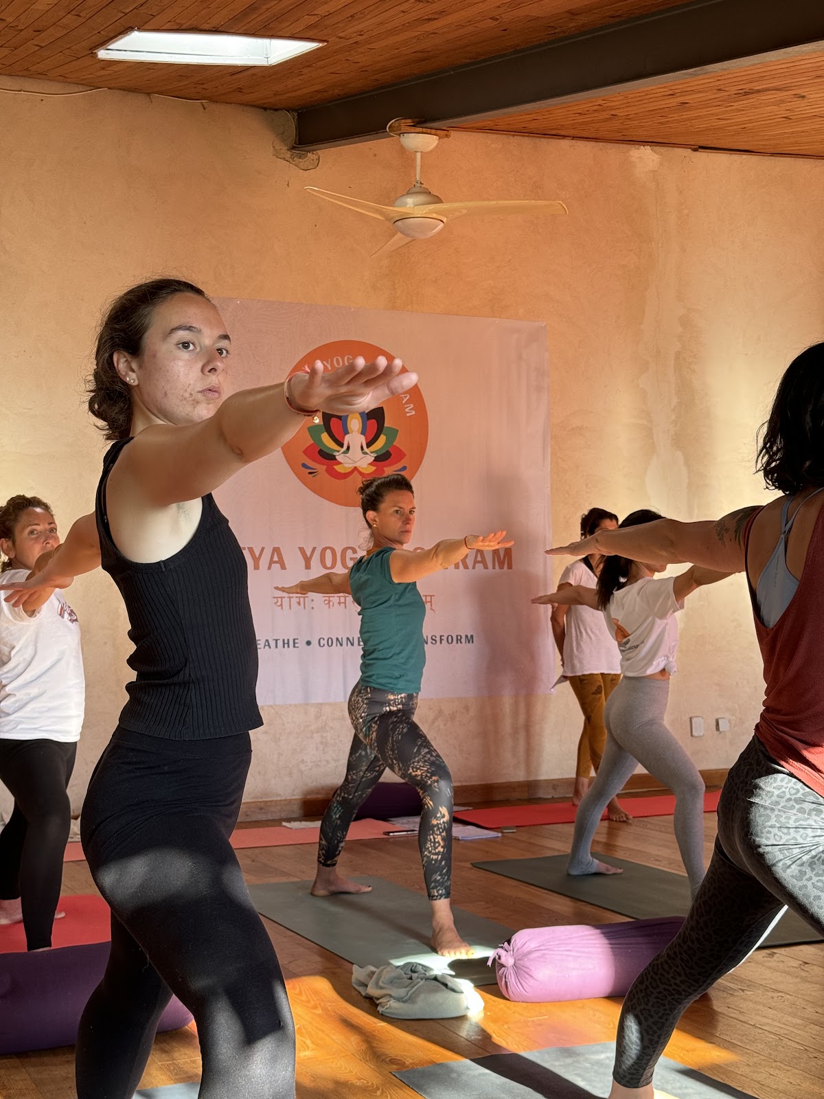 Satya Yoga Ashram | École de Yoga Traditionnel en France et en Inde