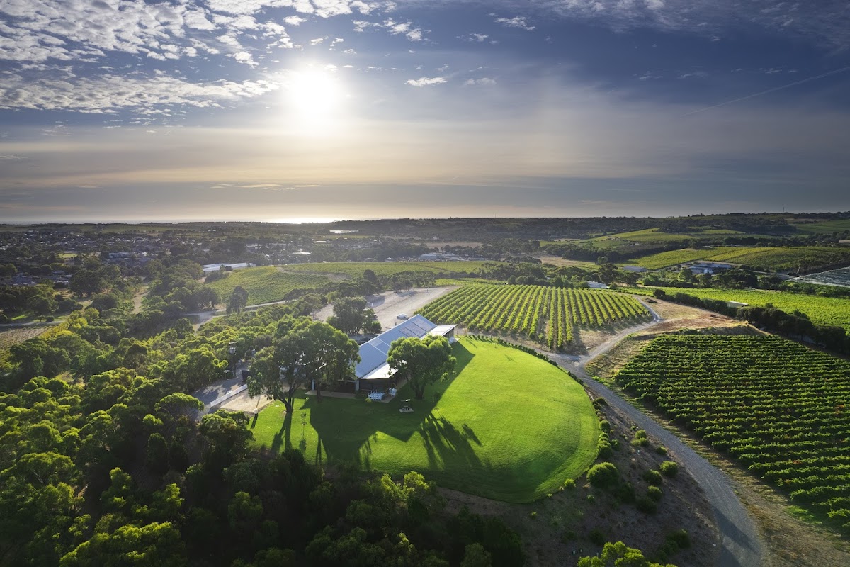 Chalk Hill Wines I McLaren Vale wine tastings & events