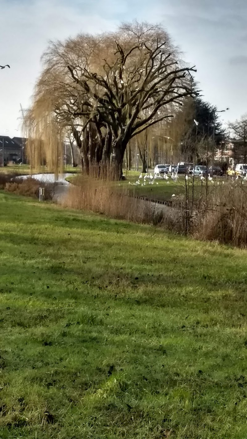 Lombardijen