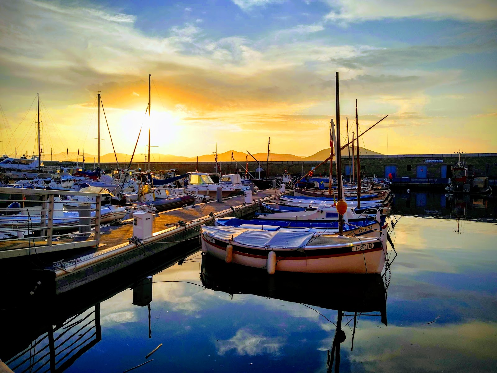 Best Dog-Friendly Hotels in Saint-Tropez, France