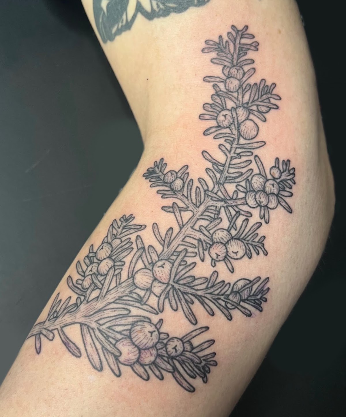 Black Magick Tattoos tattoo work — photo 3