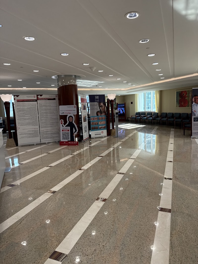 Gallery 4