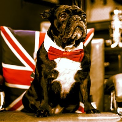 Cabelo Culture photo 3