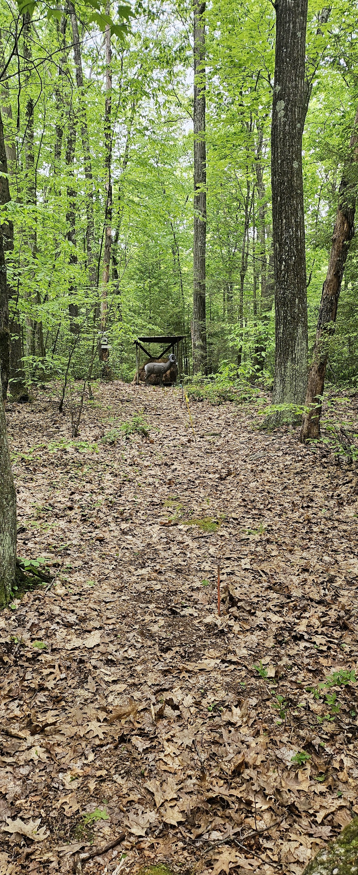 Agawam Bowmen Club Inc