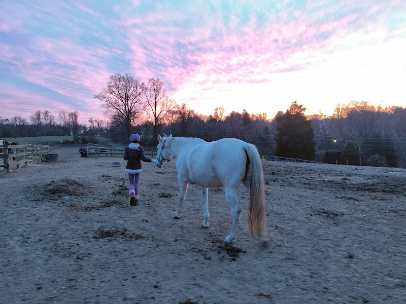 Graham Equestrian Center - Photo 6