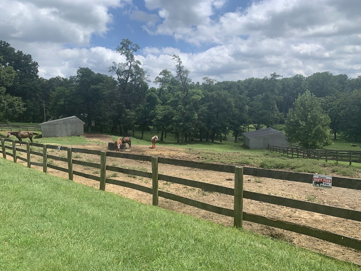 Graham Equestrian Center