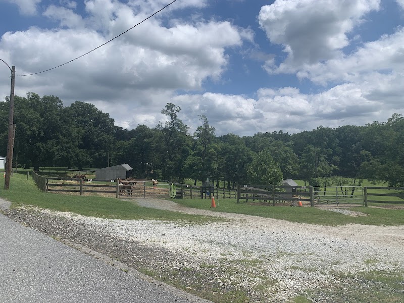 Graham Equestrian Center - Photo 2