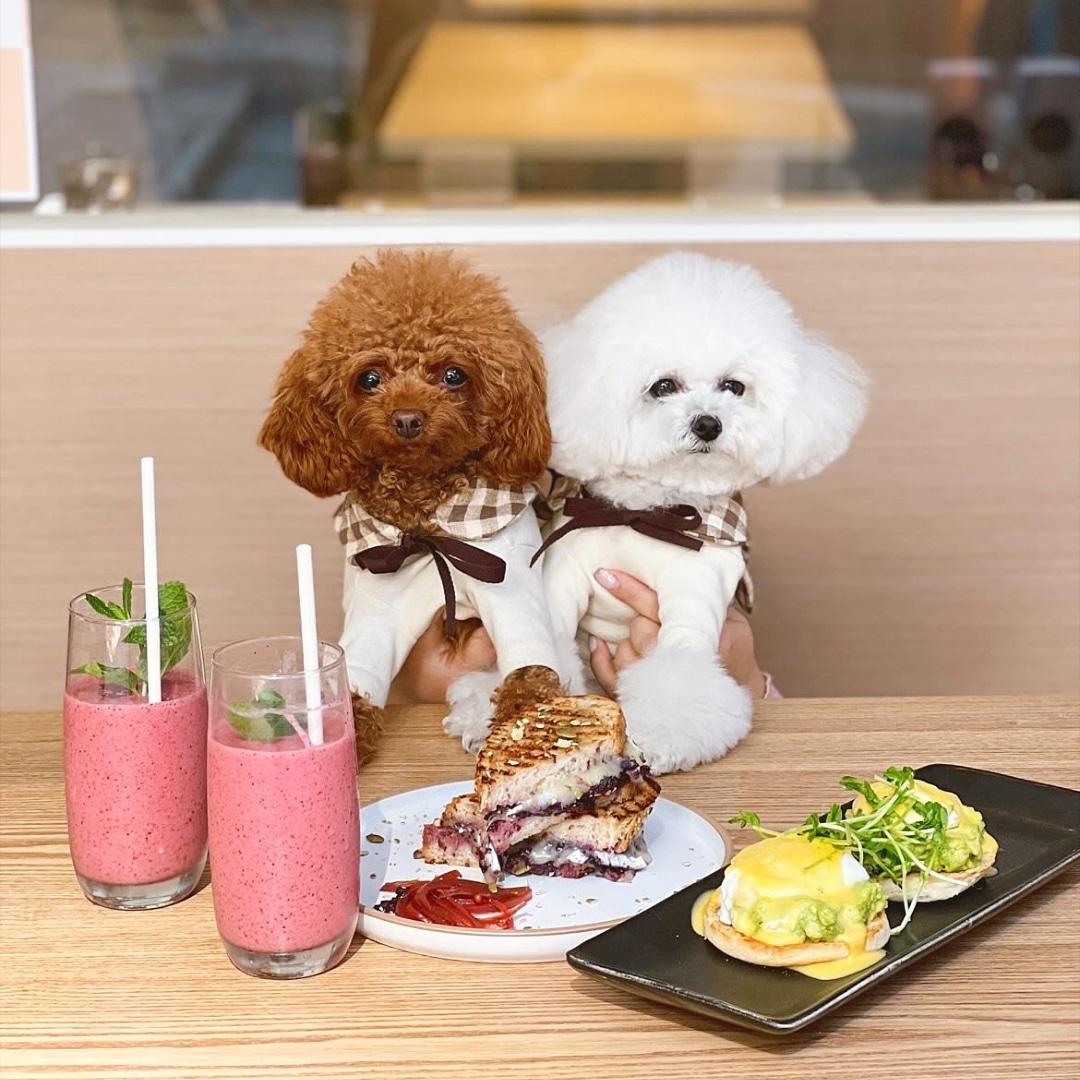 GDay Cafe and Restaurant photo 2