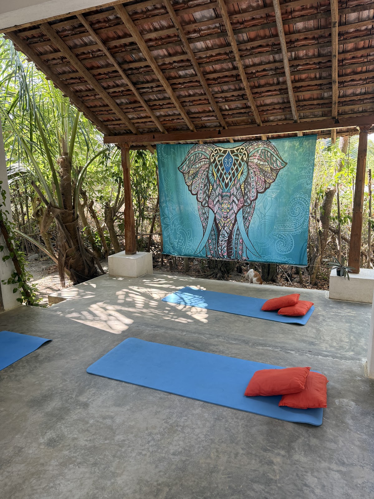 Yoga & Massage Tangalle Ginger Harmony Gest House & Cafe