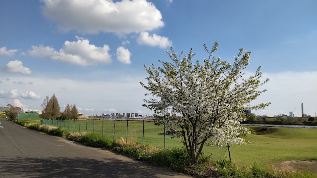 Kawaguchi Public Golf Course - Photo 8