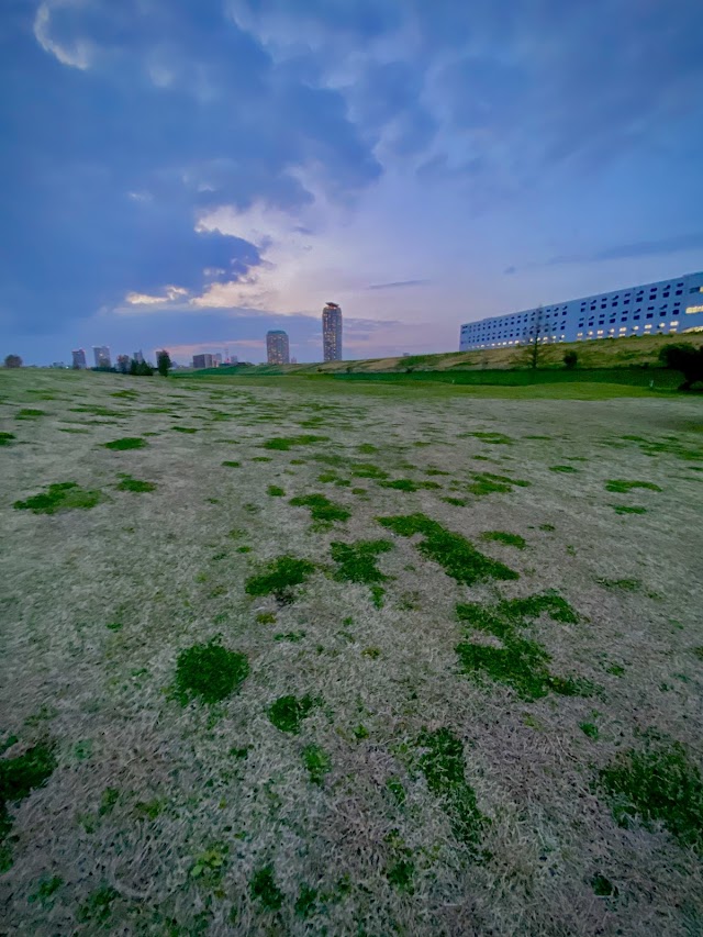 Kawaguchi Public Golf Course - Photo 6
