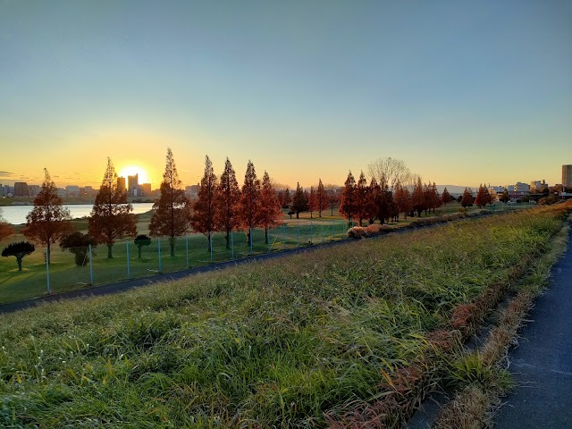 Kawaguchi Public Golf Course - Photo 10