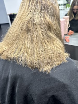 Express Cuts photo 2