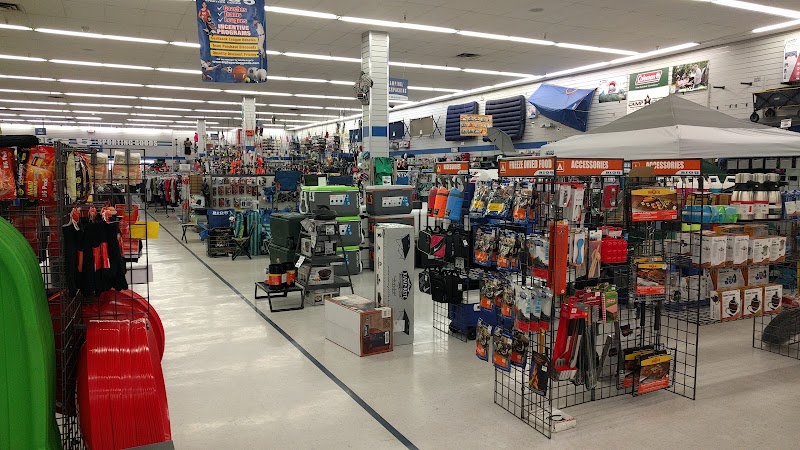 Big 5 Sporting Goods #446 photo