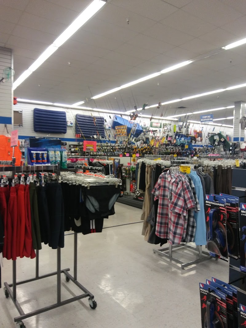 Big 5 Sporting Goods #446 photo