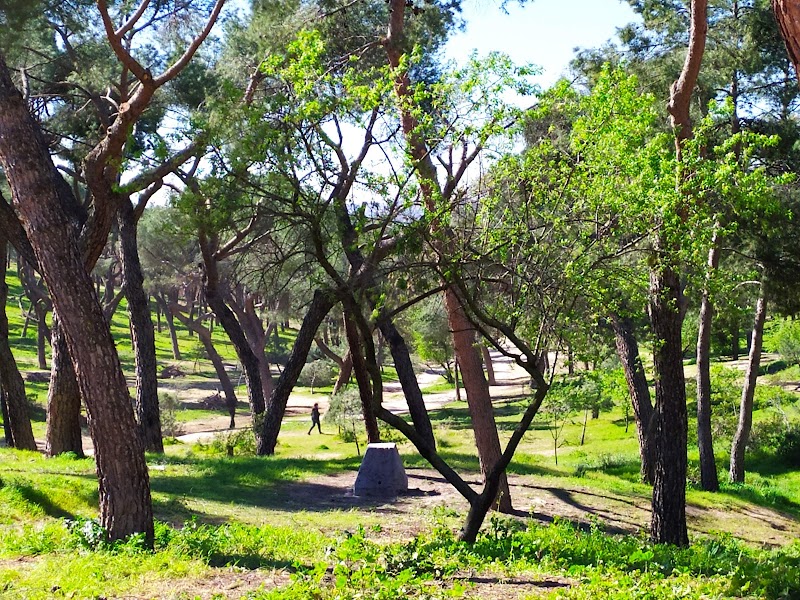 Centro de Información y Educación Ambiental Dehesa de la Villa