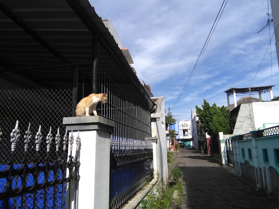 Kost CSU 87