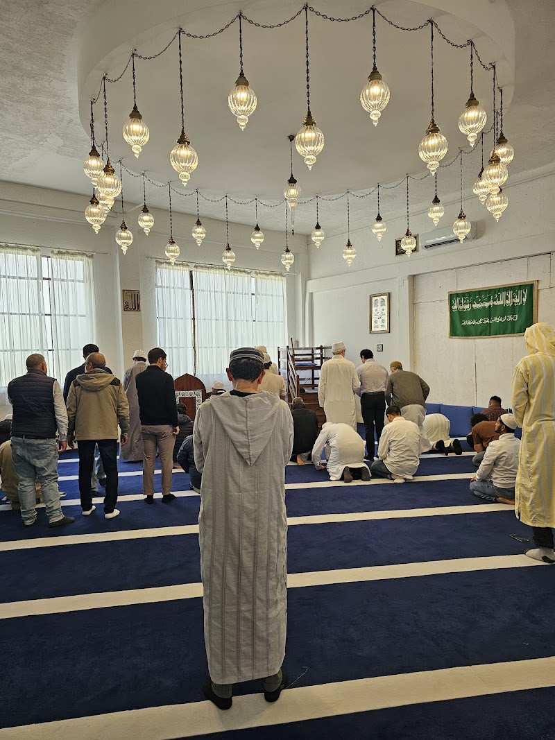 COREIS (Comunità Religiosa Islamica) Italiana photo 6