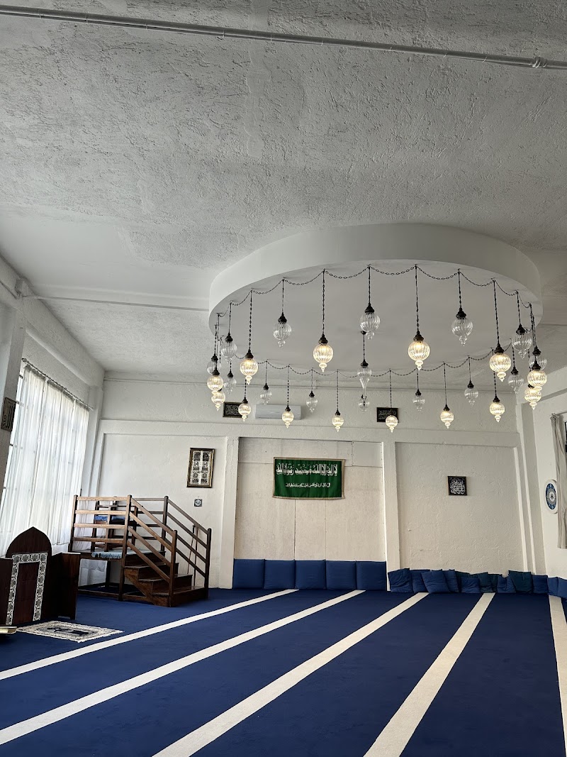 COREIS (Comunità Religiosa Islamica) Italiana photo 5