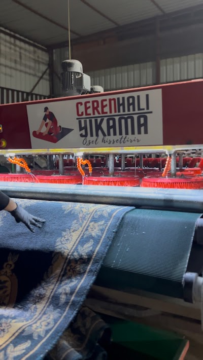 Payas Ceren Halı Yıkama - Temizlik