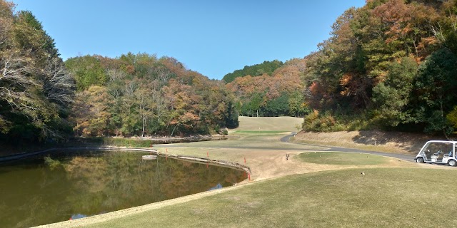 The Oaklet Golf Club - Photo 9
