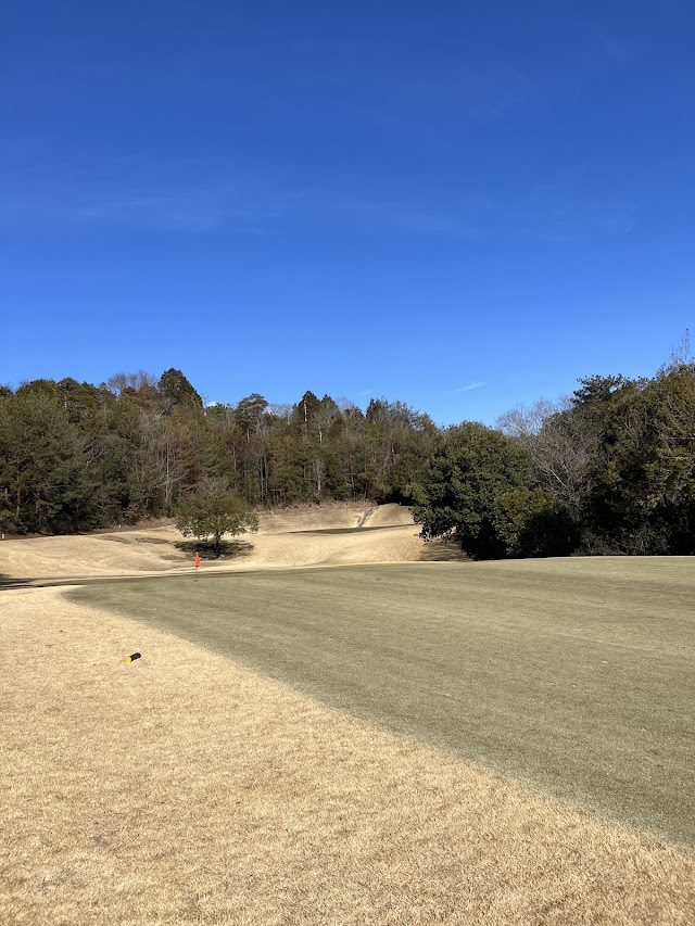 The Oaklet Golf Club - Photo 2