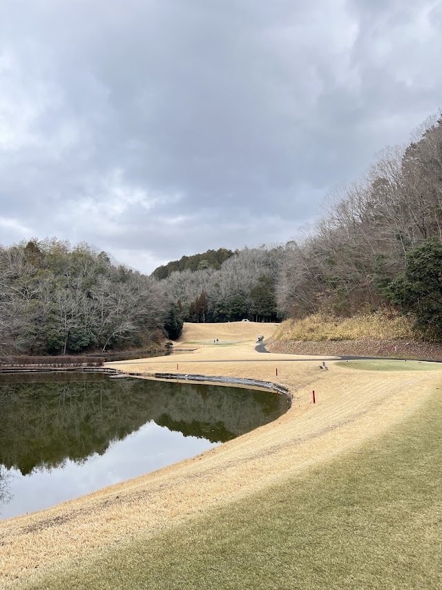 The Oaklet Golf Club - Photo 8