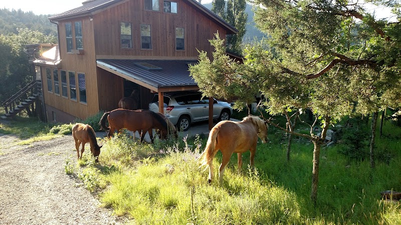 La Junta Guest Ranch - Photo 6
