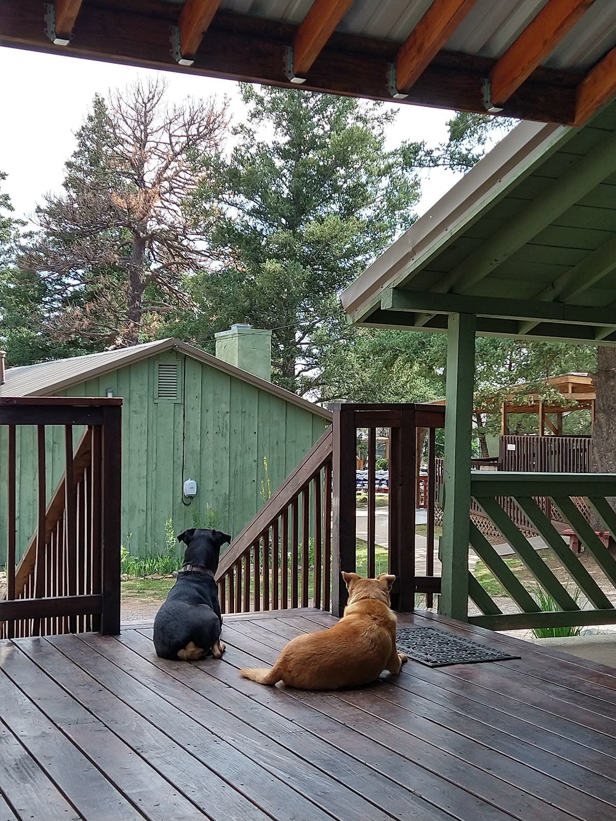 La Junta Guest Ranch