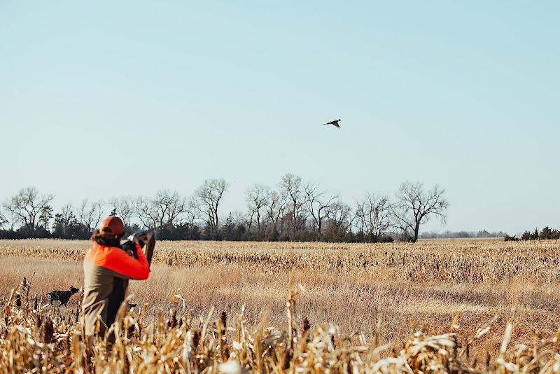 A1 Al's Pheasant Ranch - Photo 3