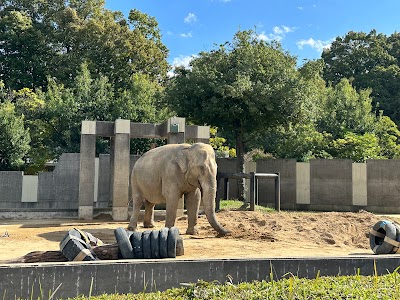 Ishikawa Zoo - 6