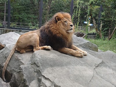 Ishikawa Zoo - 2