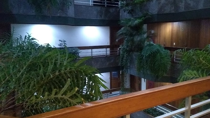 Dr. Guilherme Rostirolla - foto 2