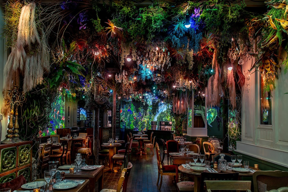 Jungle Palace by Ephemera, vue extérieure