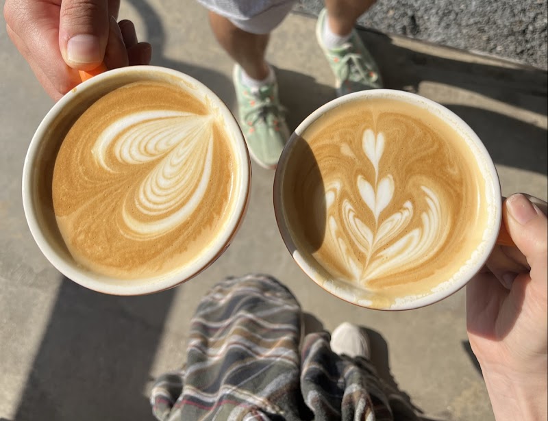 Theory Coffee Company photo 4