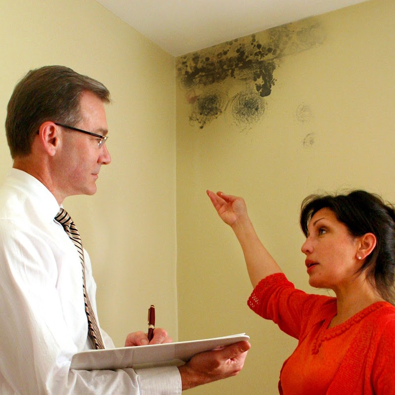 Mold Free NC — photo