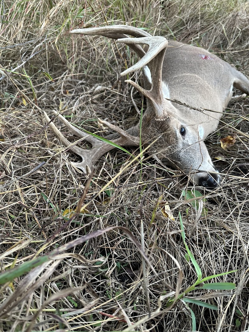 Caney Creek Outfitters, LLC - Photo 6