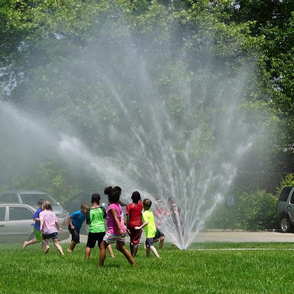 Photo by Christiana Hobbs