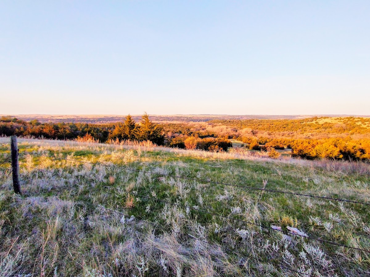Saddle Ridge Outfitters
