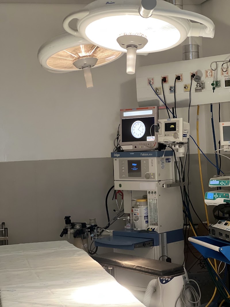 Foto de Dermatologia e Implante Capilar em São Paulo | Dra Camila Fialho | Técnica FUE | Transplante Capilar