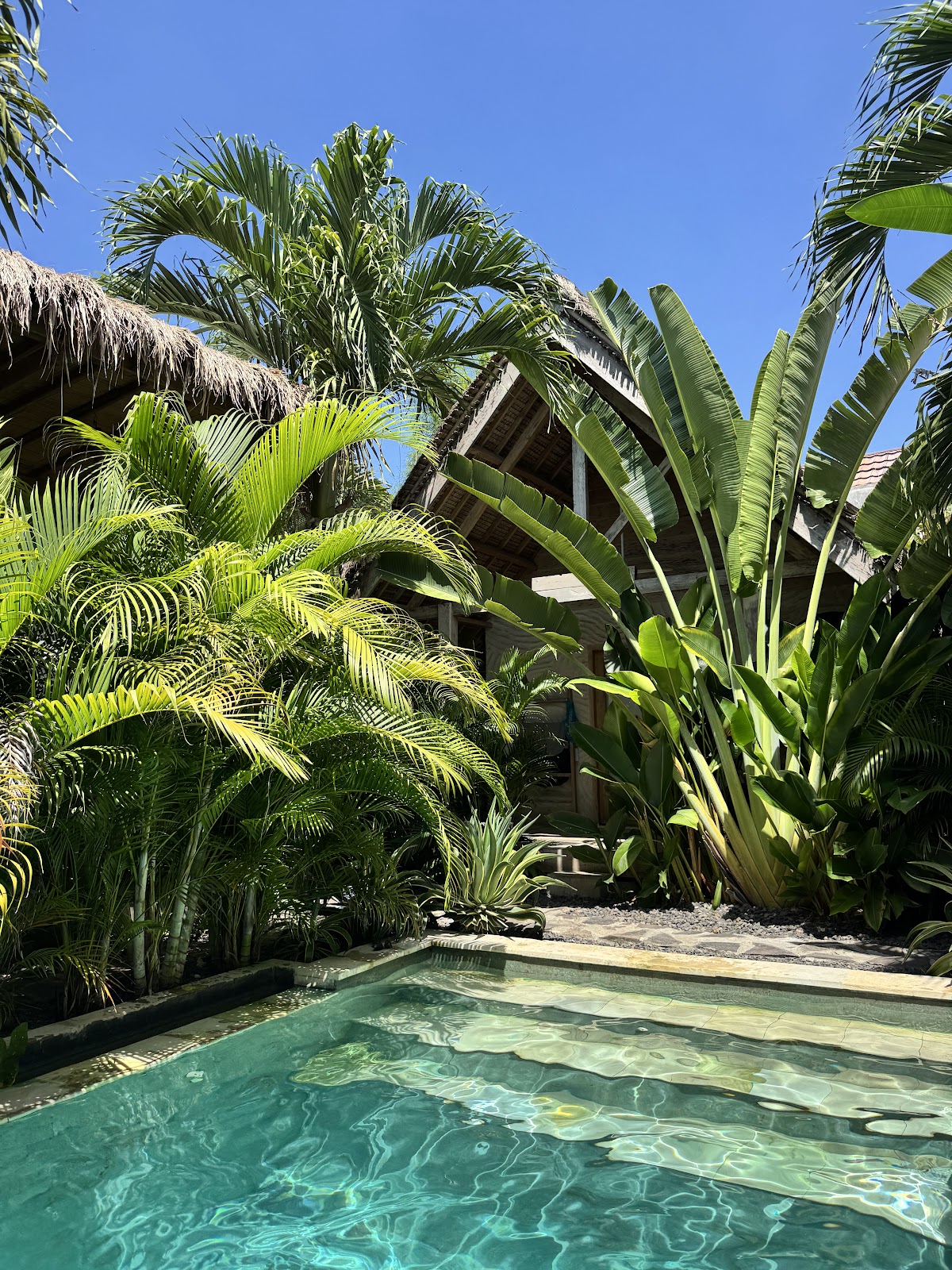 Roots Surf & Yoga Retreat — 4
