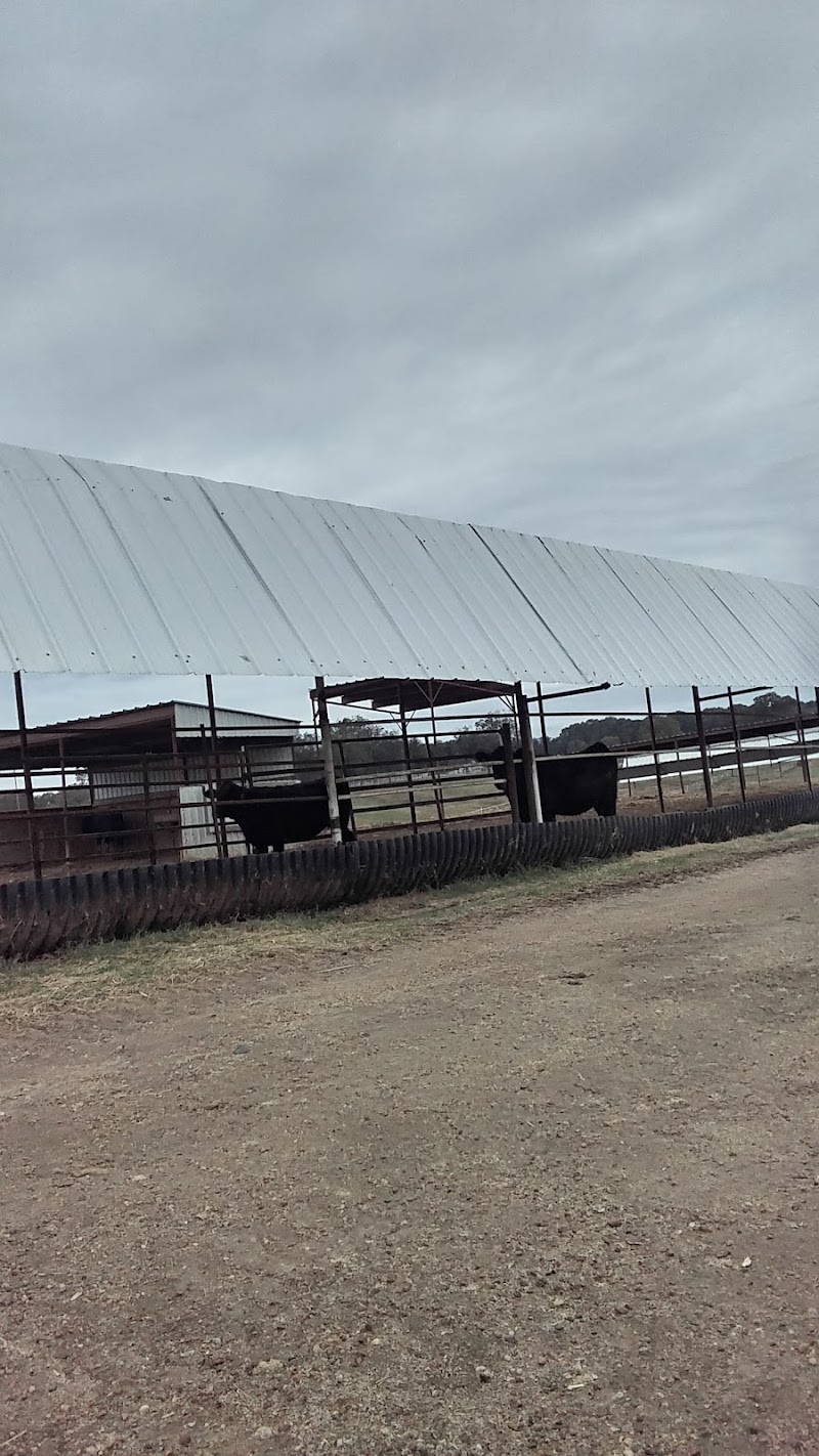 Ranch One - Photo 3