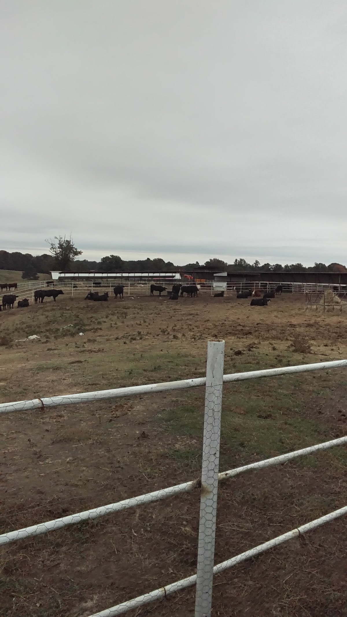 Ranch One