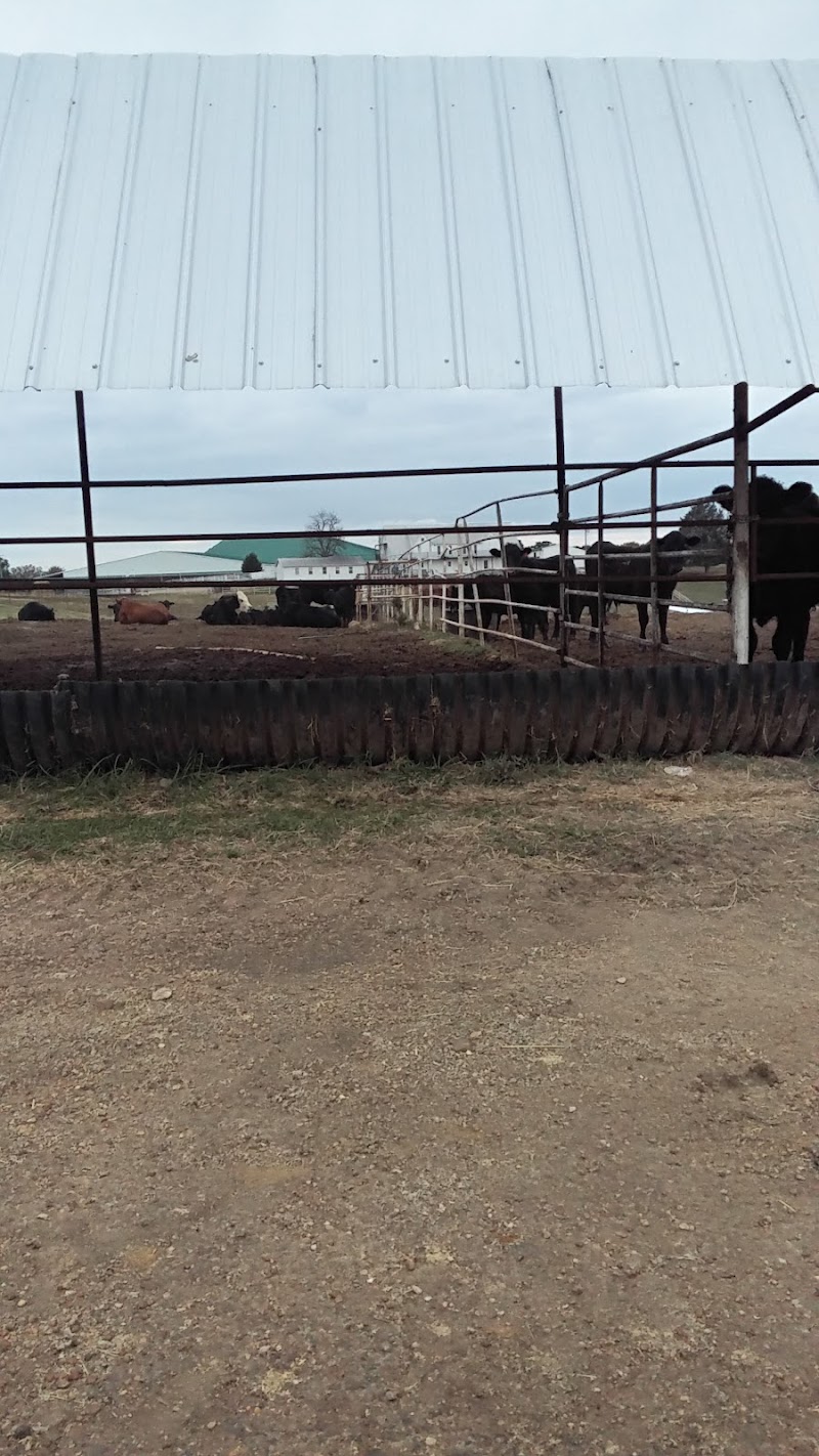 Ranch One - Photo 2
