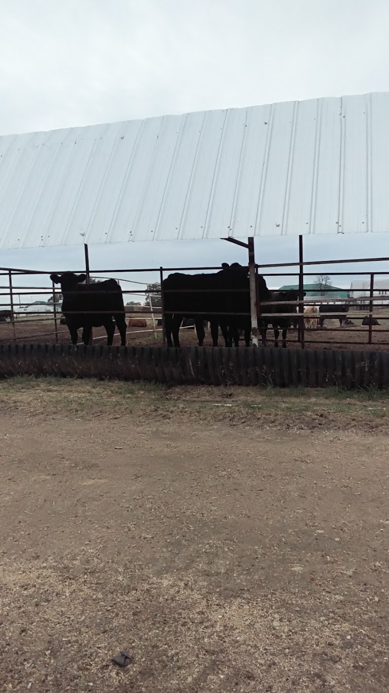 Ranch One - Photo 4