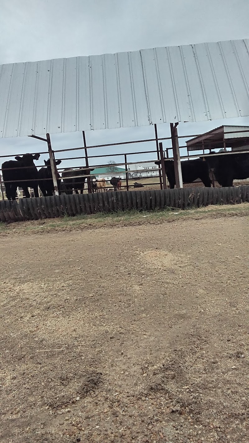 Ranch One - Photo 1