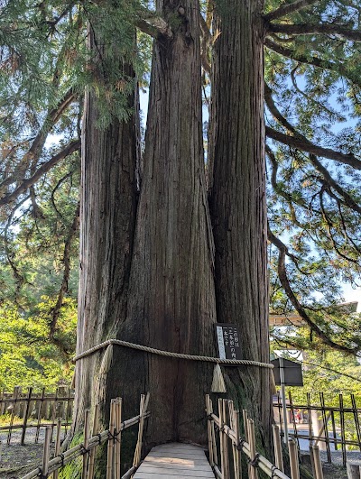 Togakushi Shrine - 3