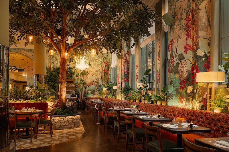 The Ivy Liverpool Brasserie